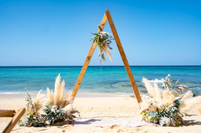 事業譲渡および運営会社変更のお知らせ